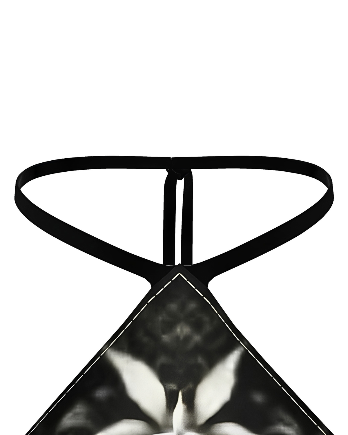 Signature Silk Satin Bandana Top With Halter Neck